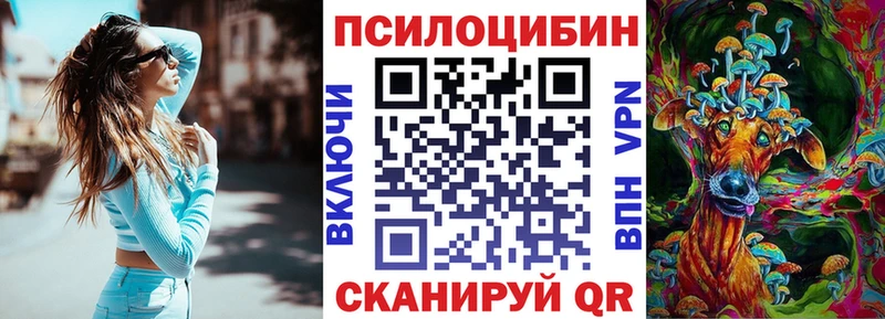 omg ссылки  Козьмодемьянск  Галлюциногенные грибы Psilocybine cubensis 